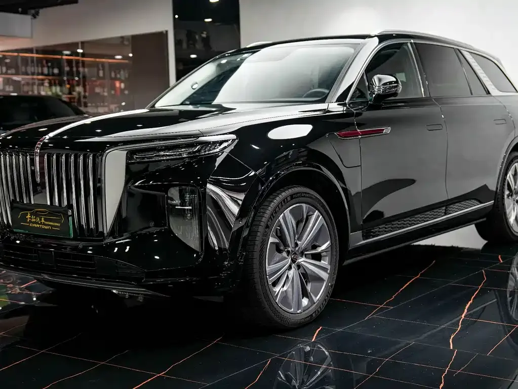 Hongqi E-HS9 2022 из CN, фото 7