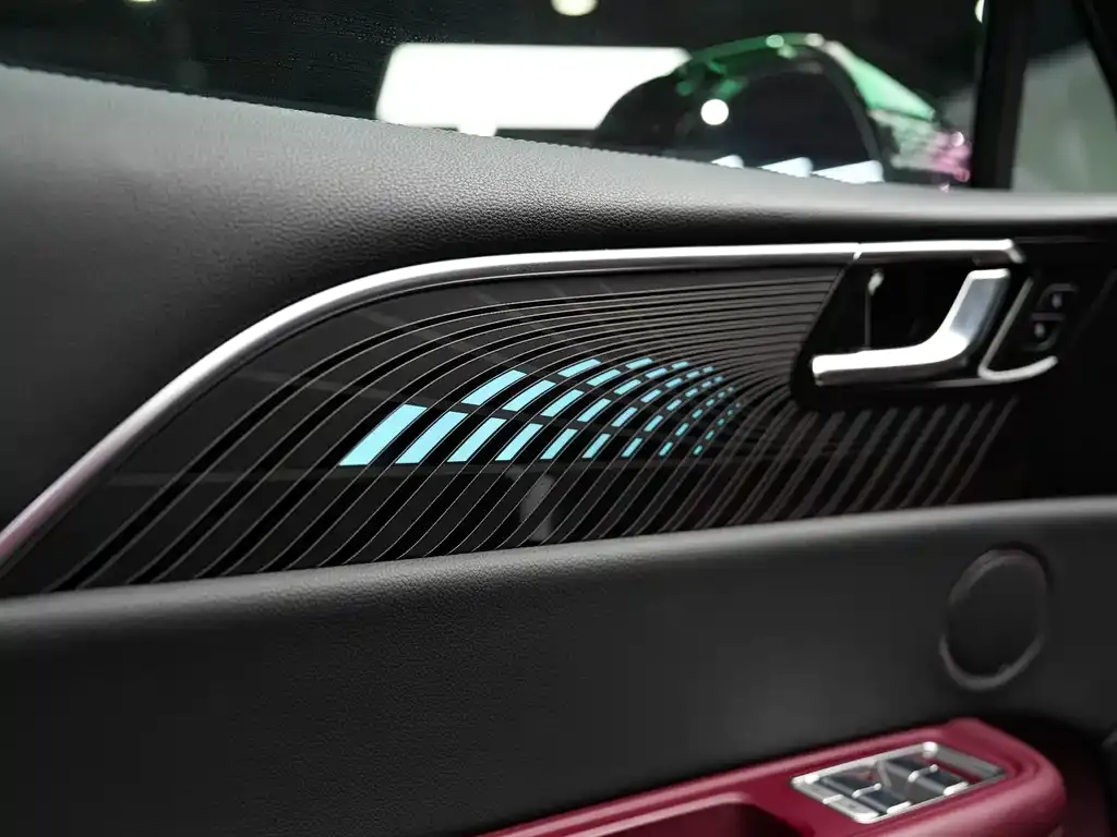 Hongqi E-HS9 2022 из CN, фото 4