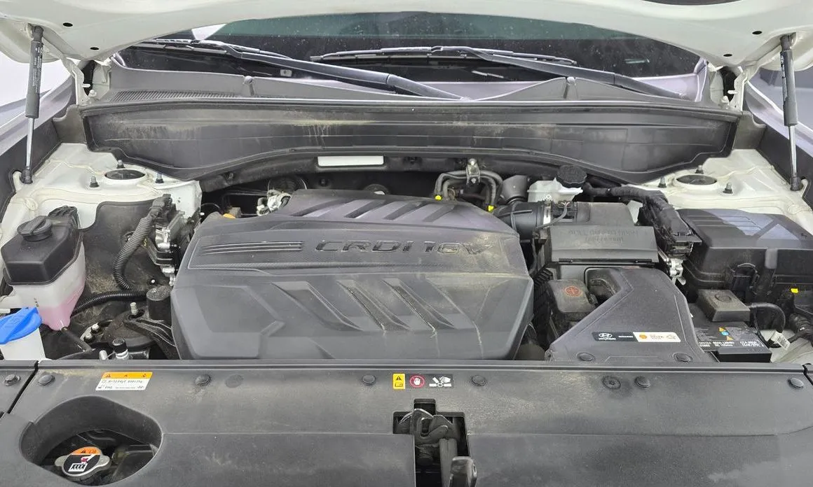 Hyundai Palisade 2024 из KR, фото 10