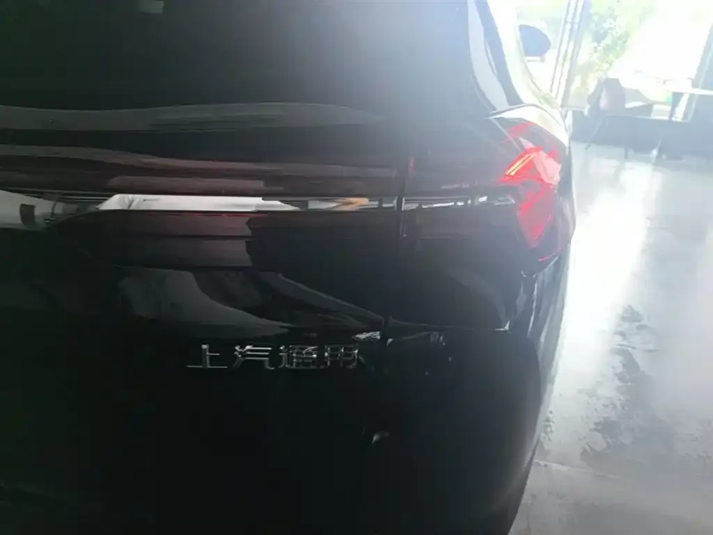 Buick Envision Plus — фото 8