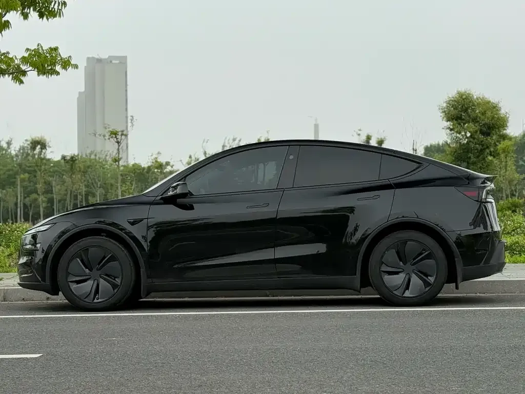 Tesla Model Y — фото 7