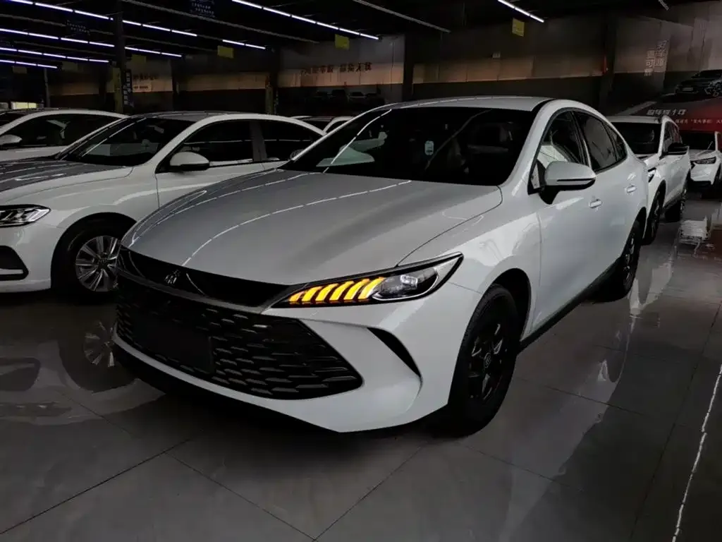 BYD Qin PLUS — фото 2