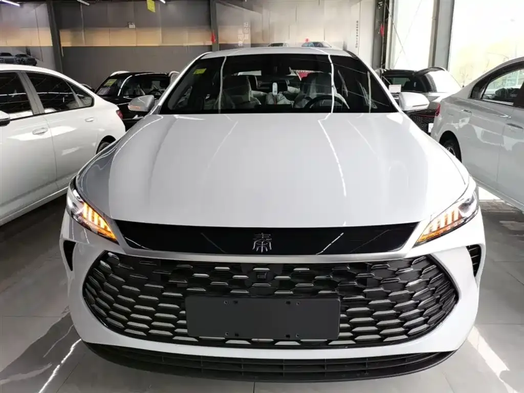 BYD Qin PLUS — фото 6