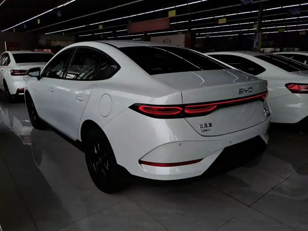 BYD Qin PLUS — фото 5