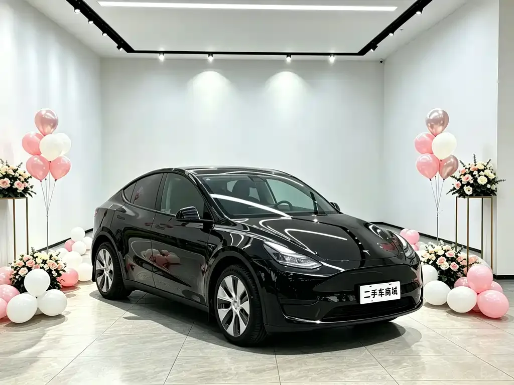 Tesla Model Y — фото 1