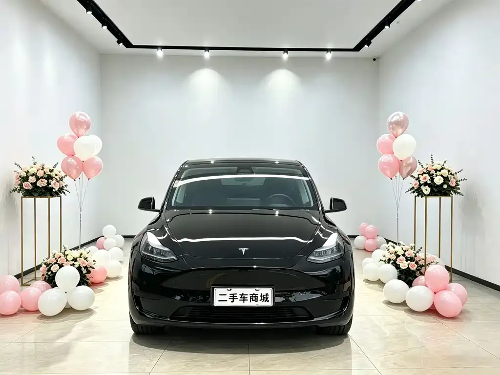 Tesla Model Y — фото 5