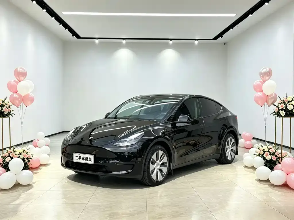 Tesla Model Y — фото 9