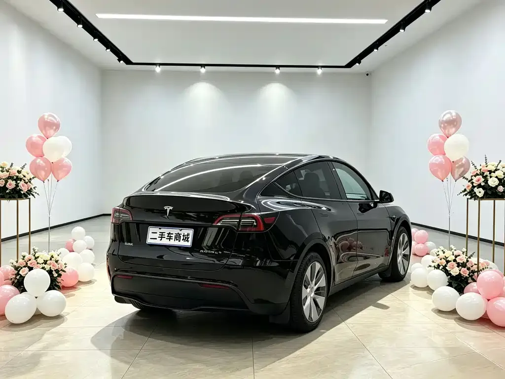 Tesla Model Y — фото 2
