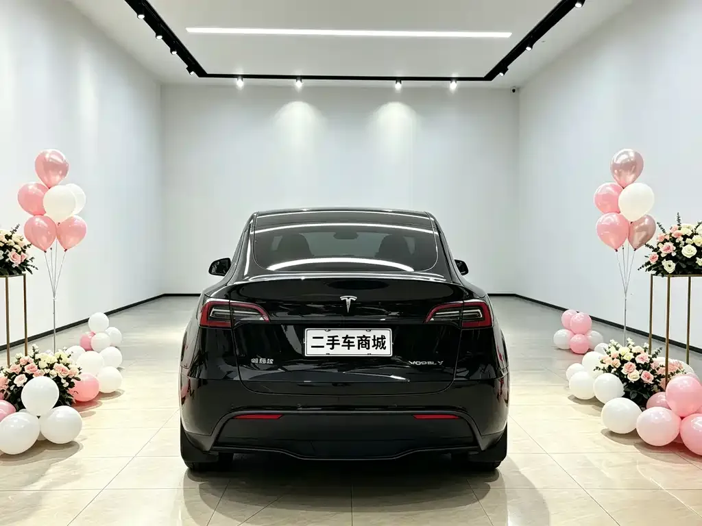 Tesla Model Y — фото 7