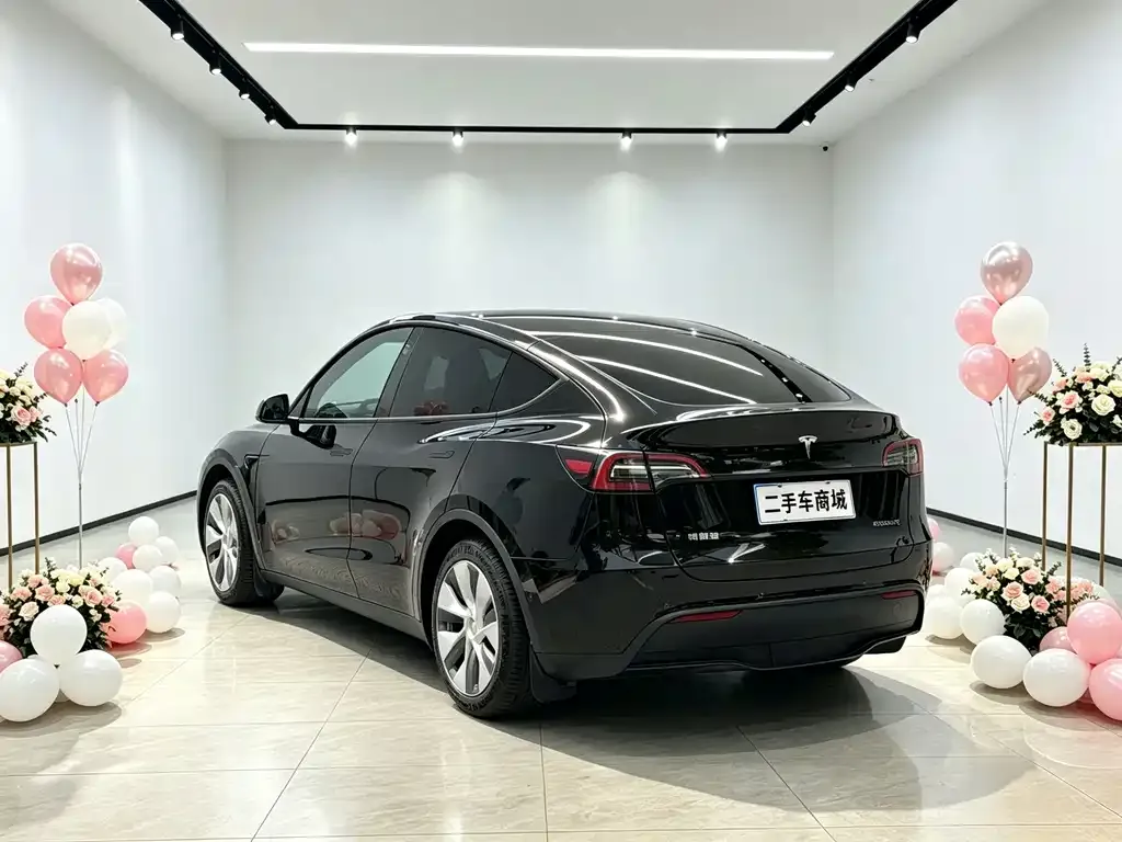 Tesla Model Y — фото 6