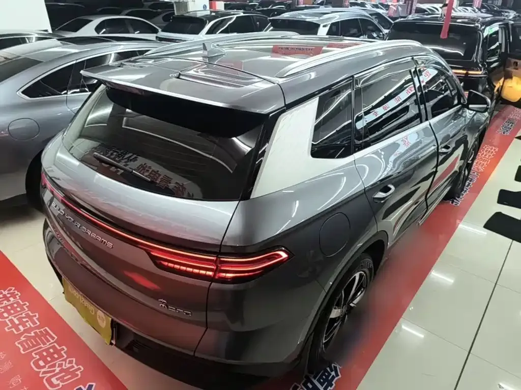 BYD Pro New Energy — фото 9