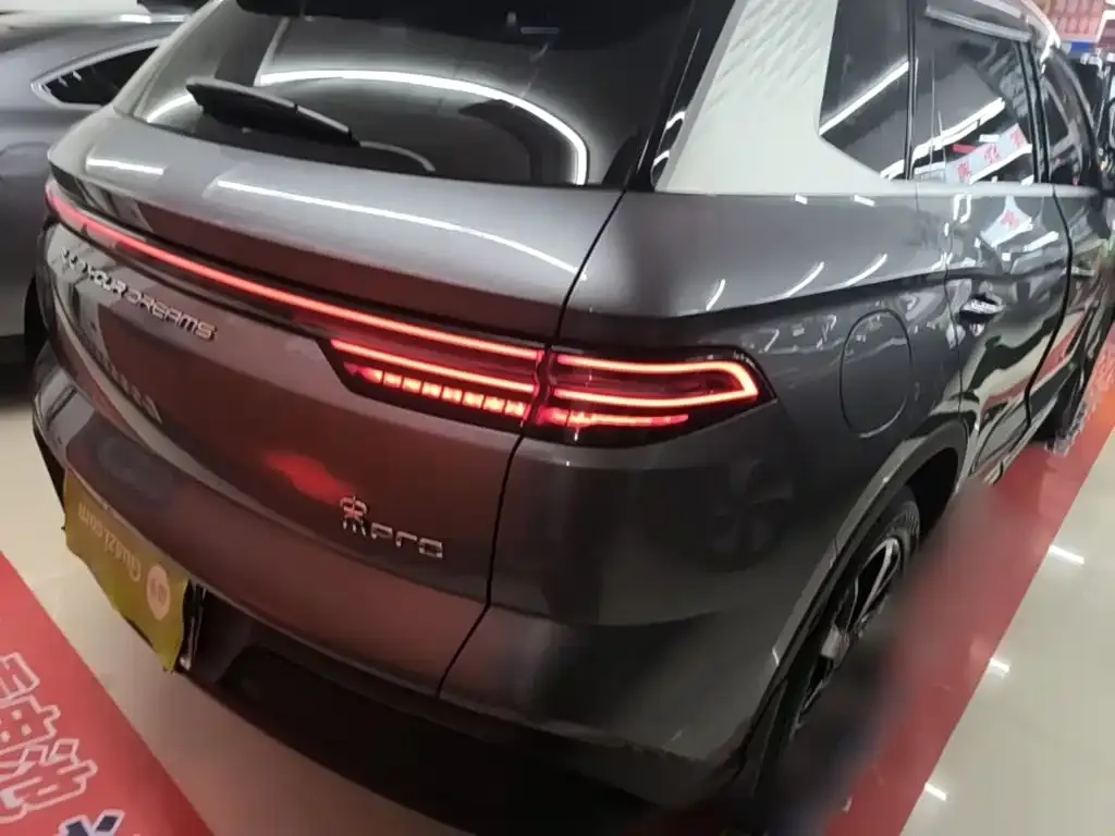 BYD Pro New Energy — фото 4
