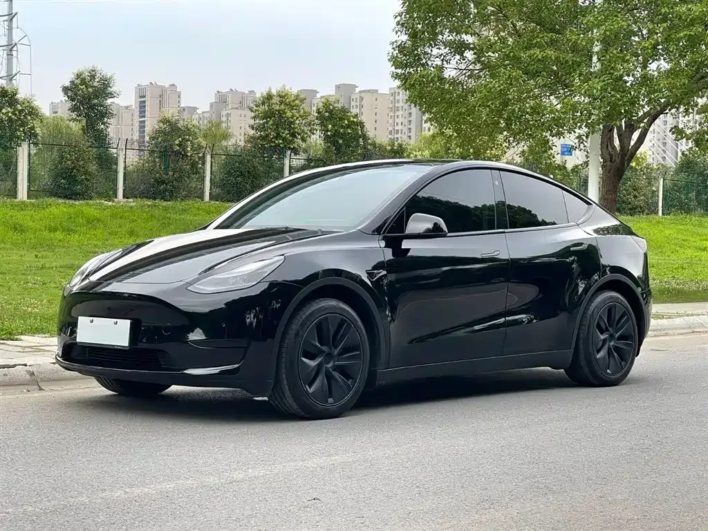 Tesla Model Y — фото 5