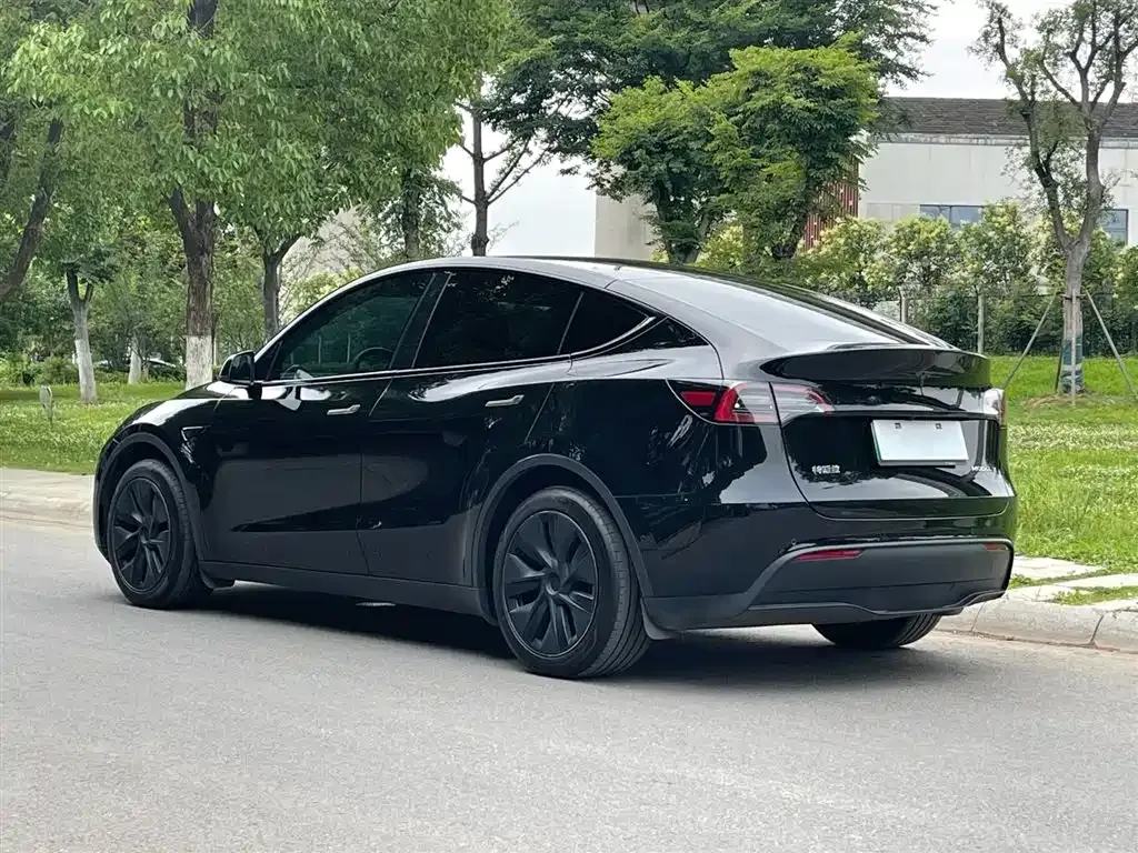Tesla Model Y — фото 10