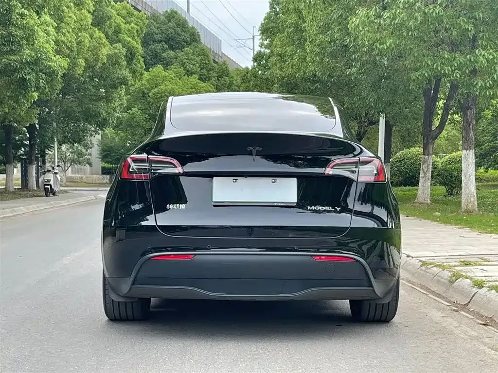 Tesla Model Y — фото 6