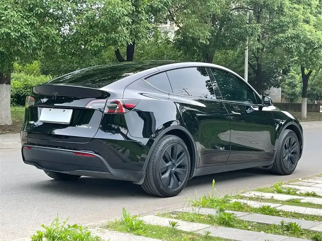 Tesla Model Y — фото 9