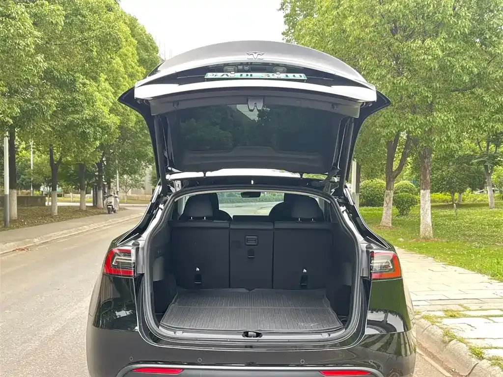 Tesla Model Y — фото 4