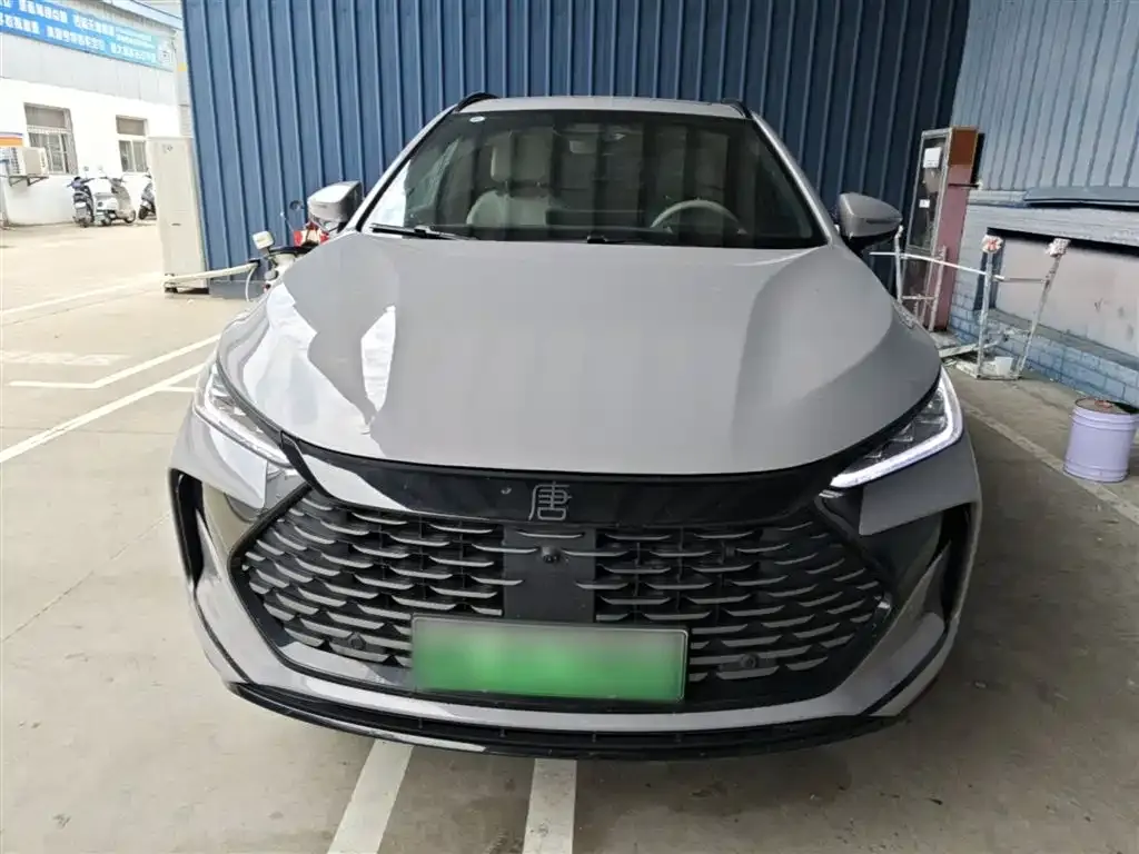 BYD Tang New Energy — фото 10