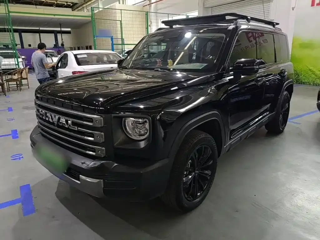 Haval Menglong New Energy 2023 из CN, фото 8