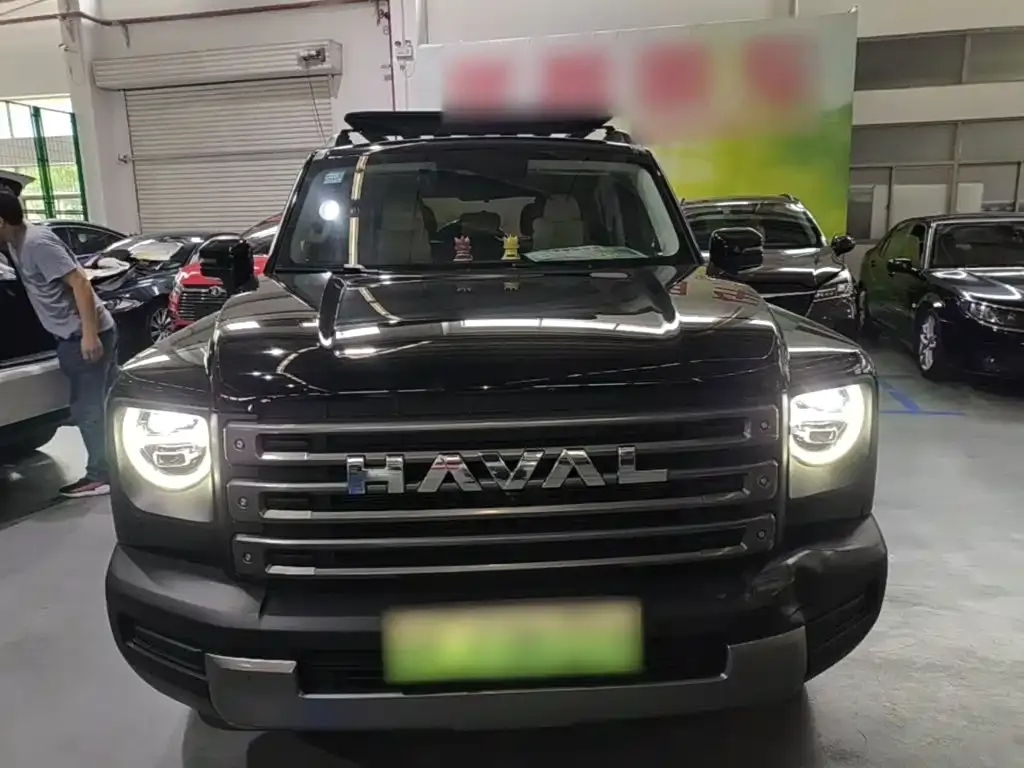 Haval Menglong New Energy 2023 из CN, фото 3