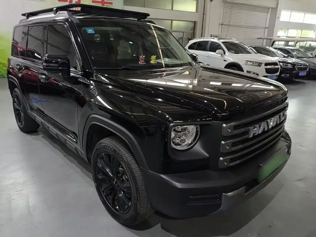 Haval Menglong New Energy 2023 из CN, фото 6