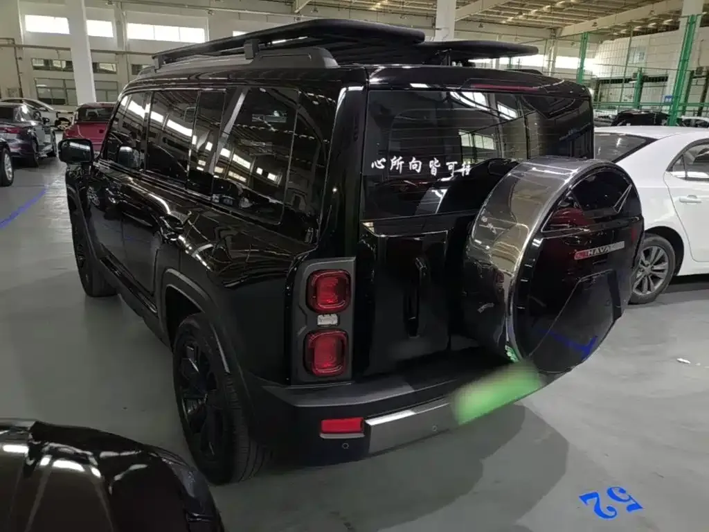 Haval Menglong New Energy 2023 из CN, фото 9