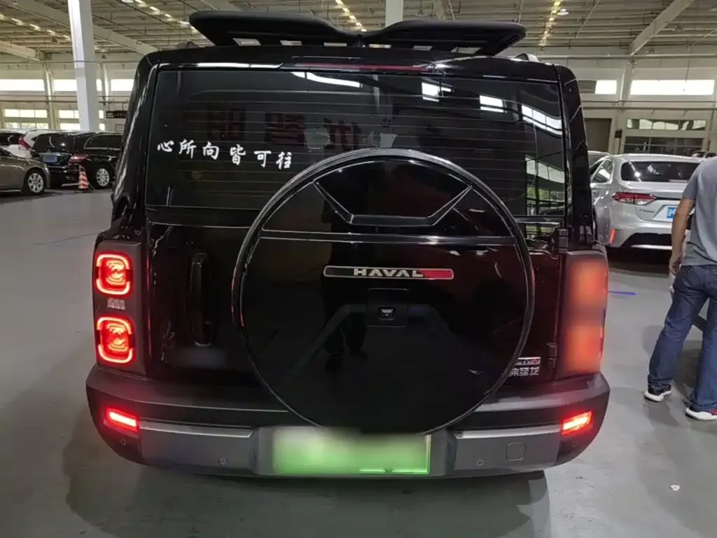 Haval Menglong New Energy 2023 из CN, фото 10