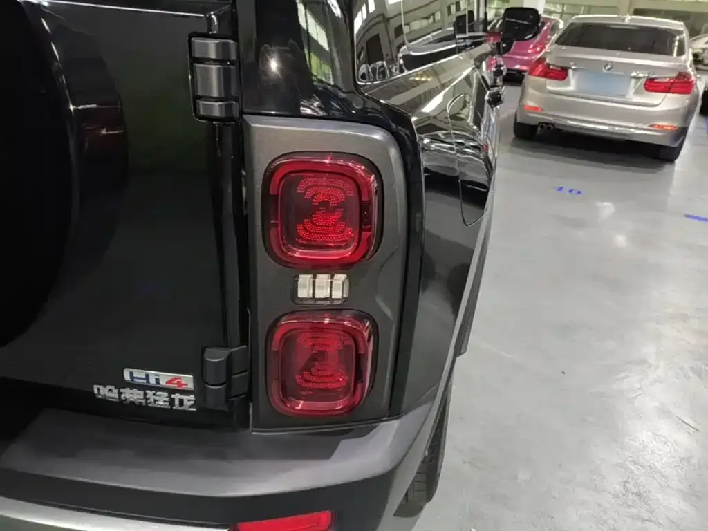 Haval Menglong New Energy 2023 из CN, фото 2