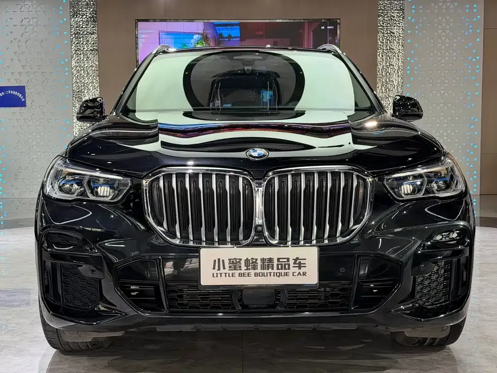 BMW X5 (Import) 2021 из CN, фото 10