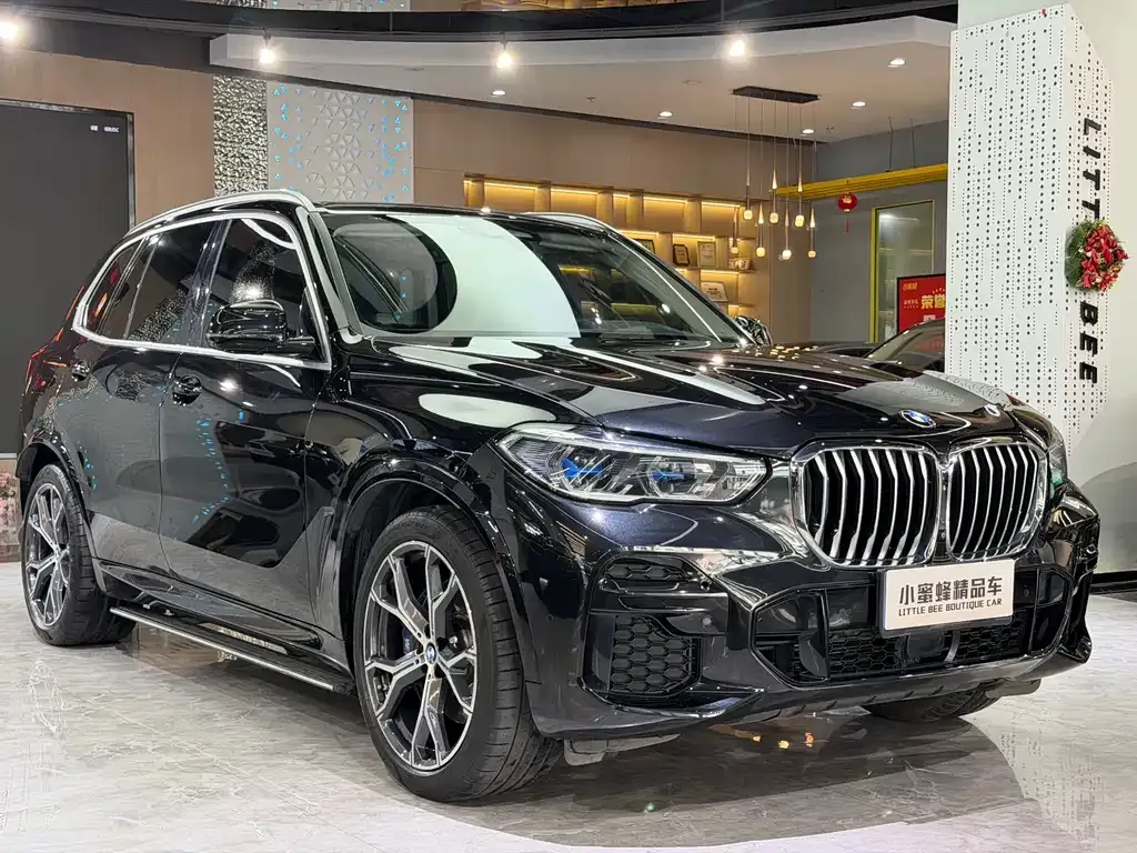 BMW X5 (Import) 2021 из CN, фото 8