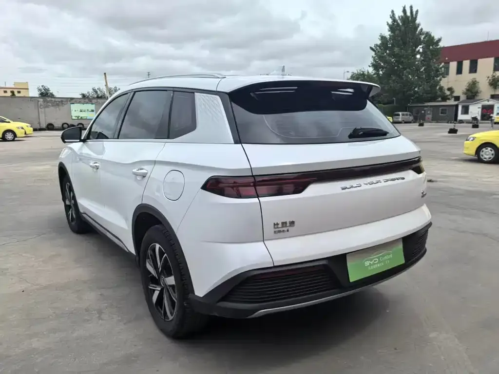 BYD Pro New Energy 2024 из CN, фото 8
