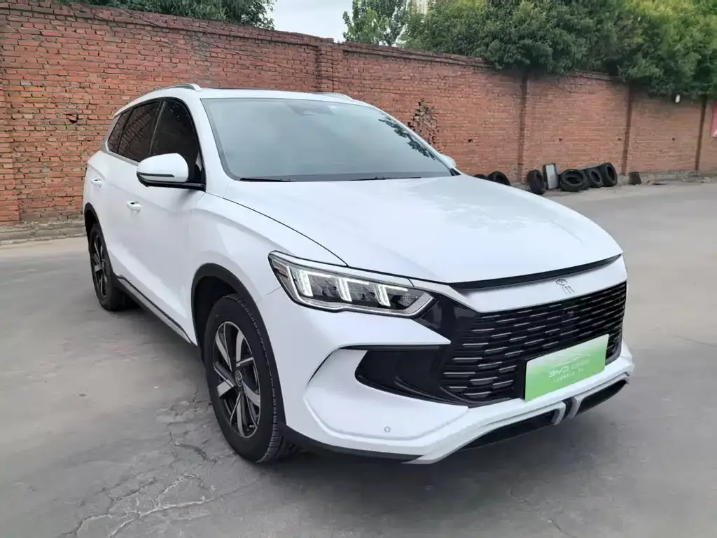BYD Pro New Energy 2024 из CN, фото 9