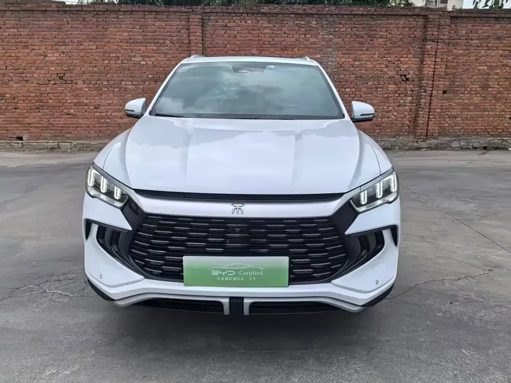 BYD Pro New Energy 2024 из CN, фото 7