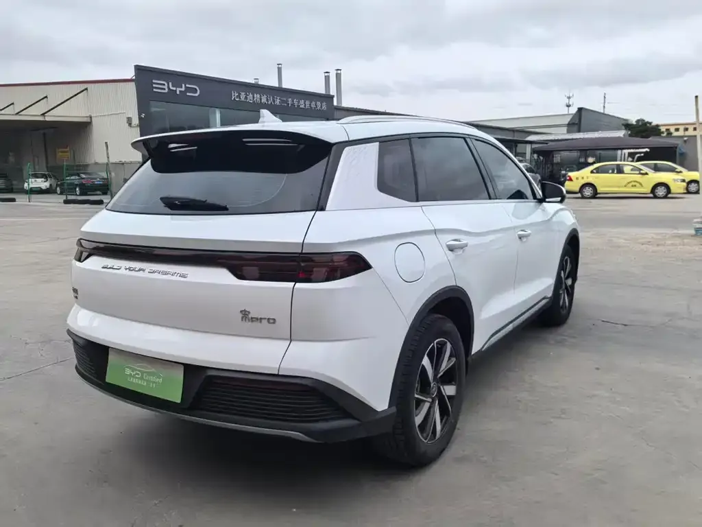 BYD Pro New Energy 2024 из CN, фото 3