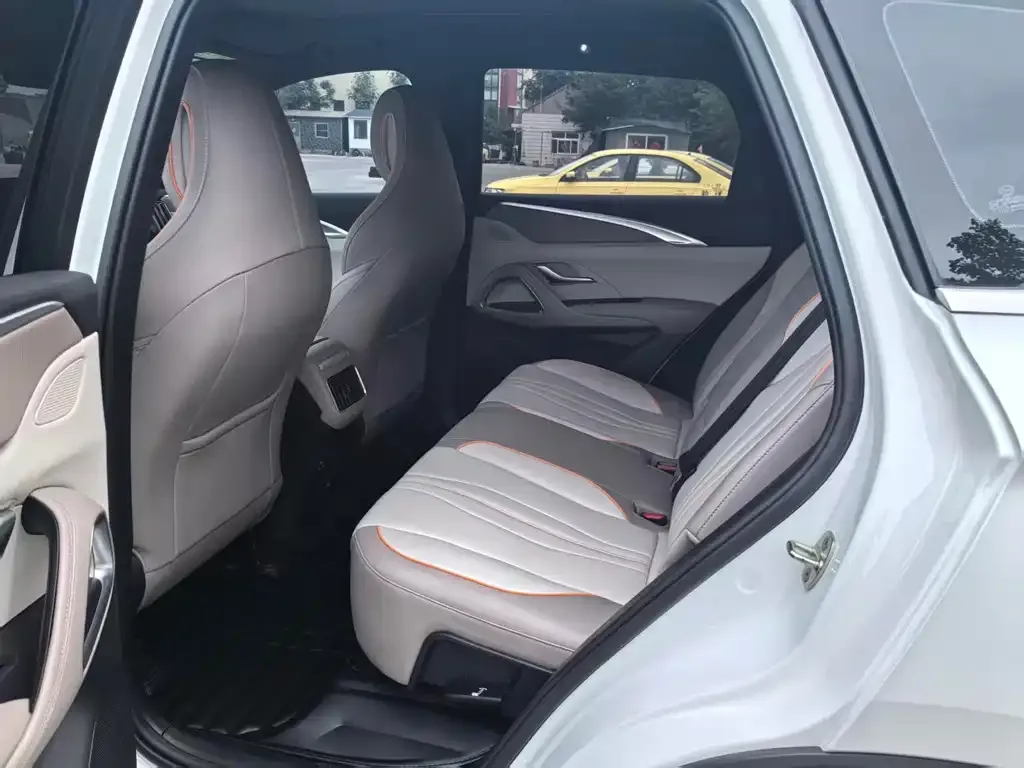 BYD Pro New Energy 2024 из CN, фото 4