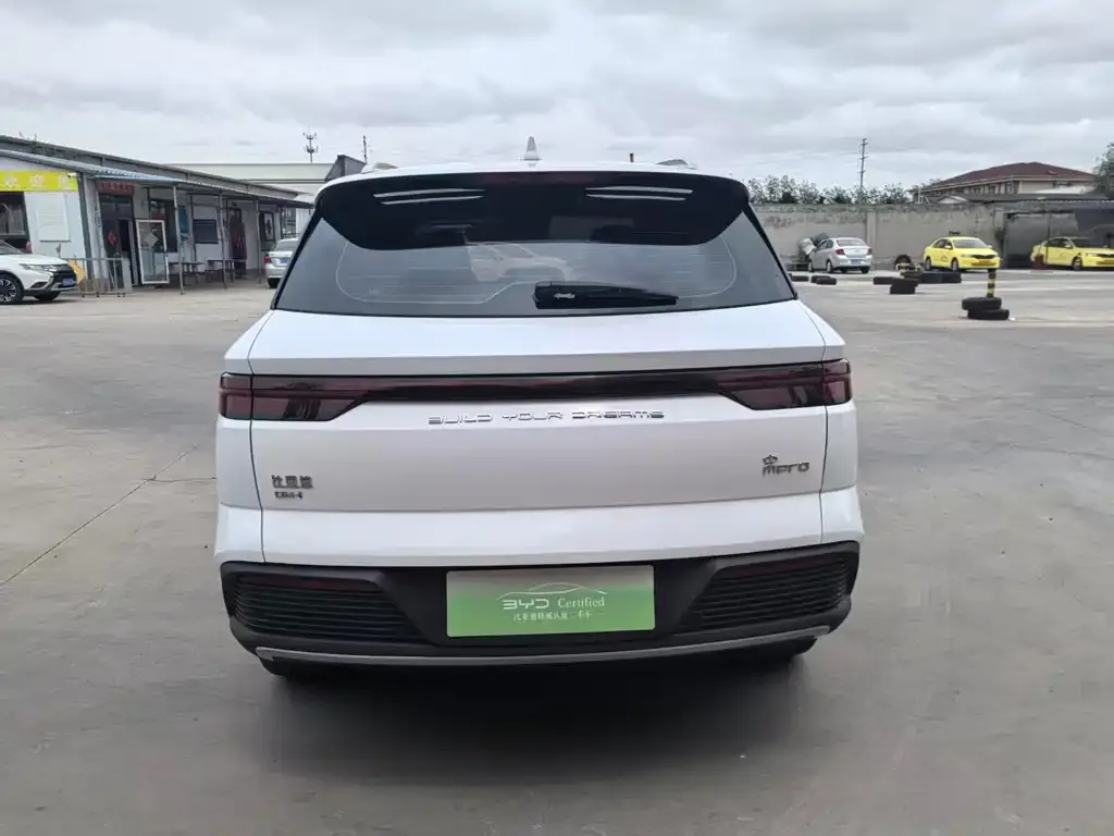BYD Pro New Energy 2024 из CN, фото 2