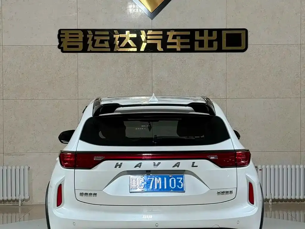 Haval Chitu 2022 из CN, фото 4