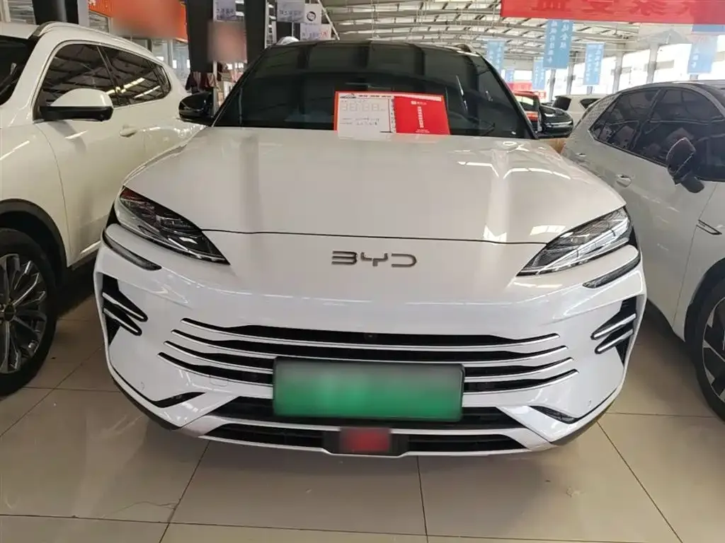 BYD PLUS New Energy — фото 8
