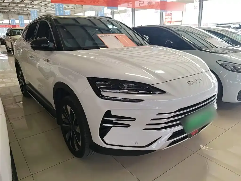 BYD PLUS New Energy — фото 4