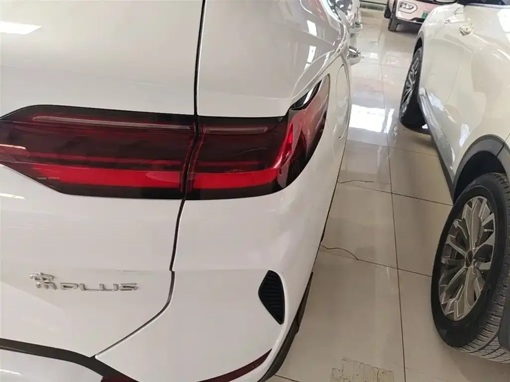 BYD PLUS New Energy — фото 2