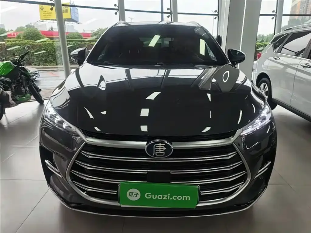 BYD Tang New Energy 2023 из CN, фото 7