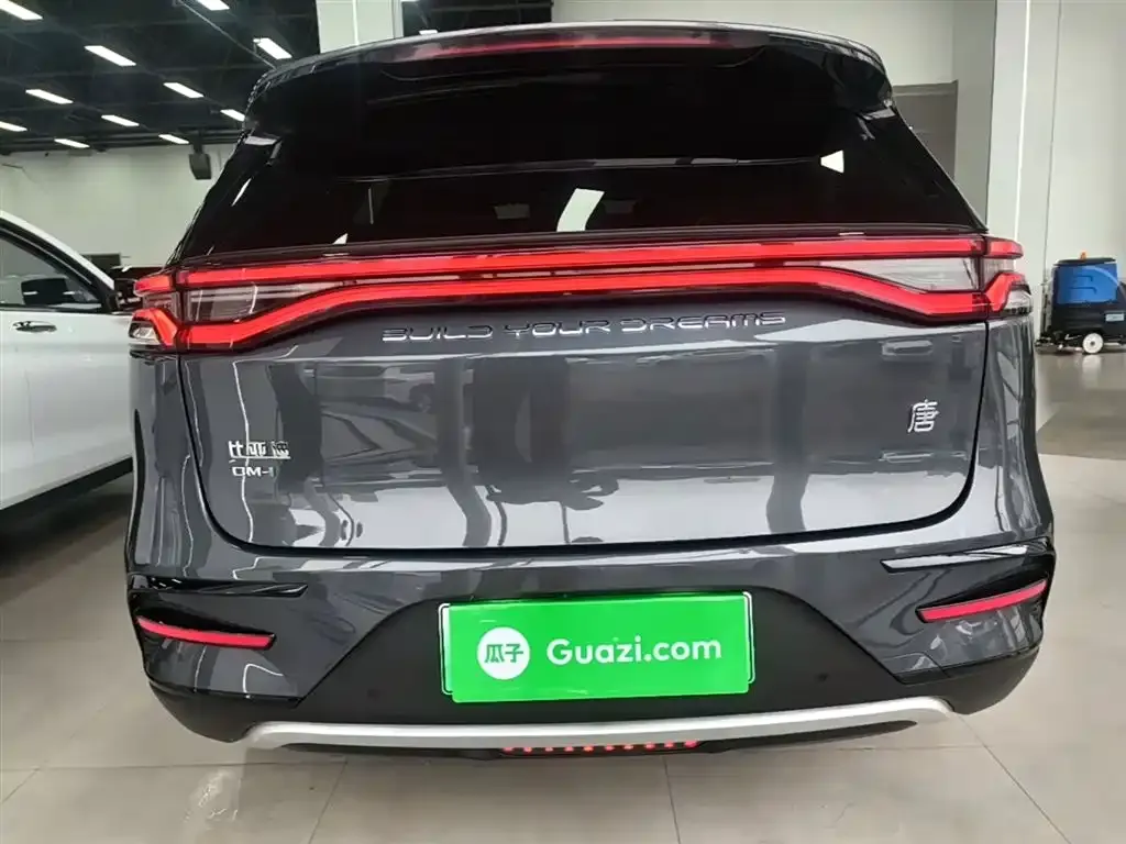 BYD Tang New Energy 2023 из CN, фото 3