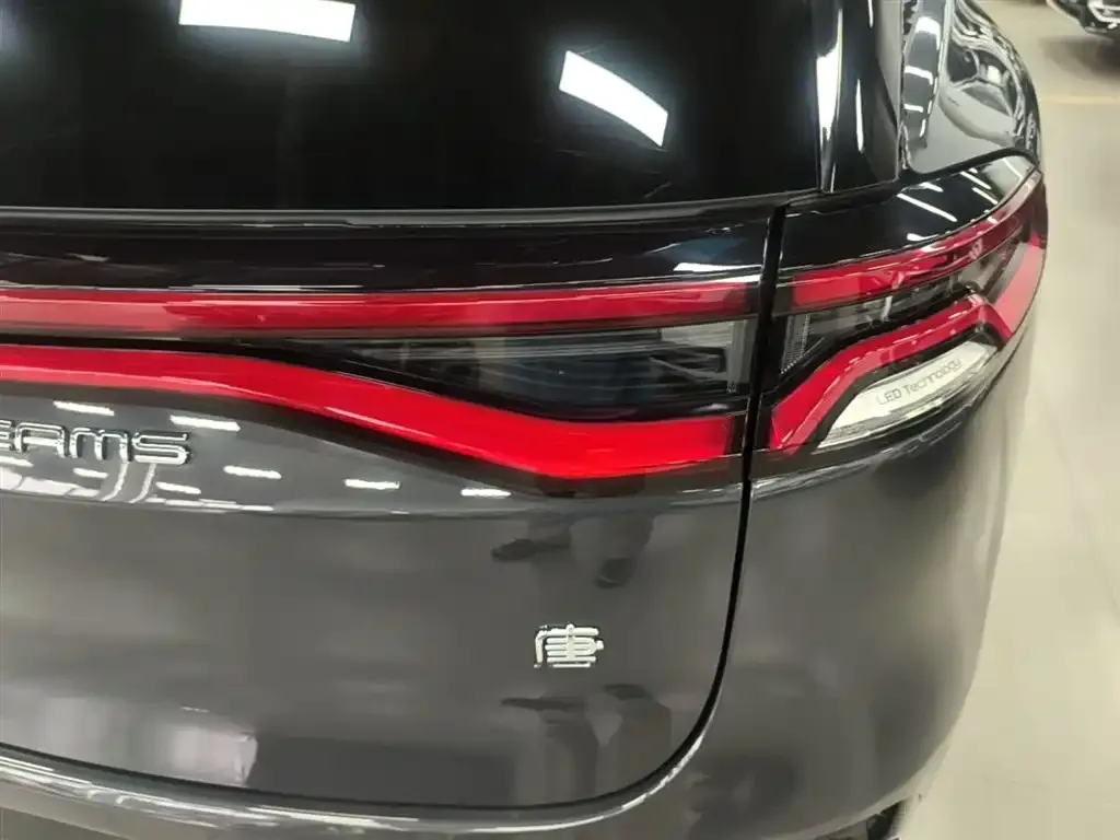 BYD Tang New Energy 2023 из CN, фото 2