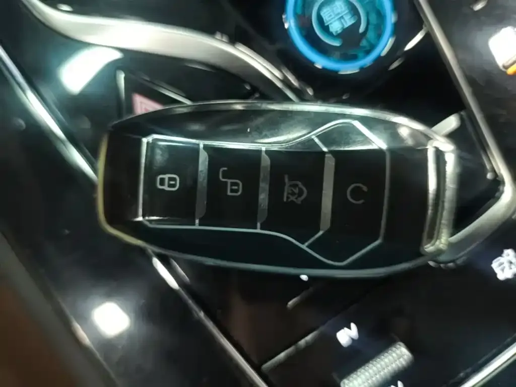 BYD Tang New Energy 2023 из CN, фото 4