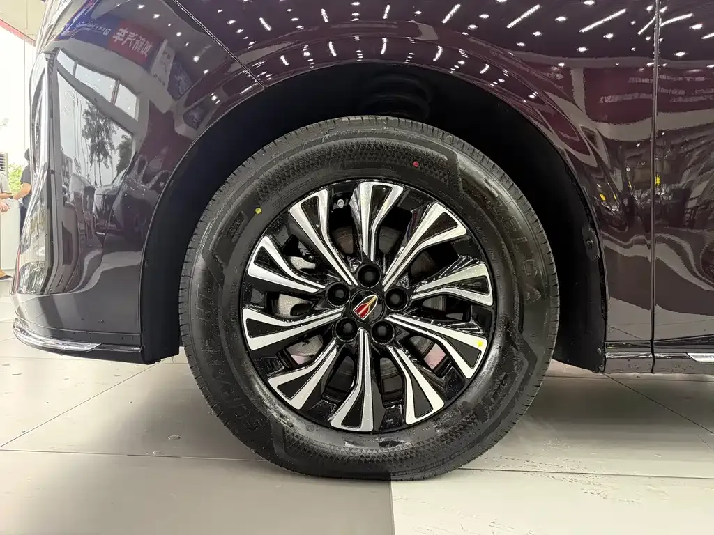 Hongqi HQ9 PHEV 2025 из CN, фото 7