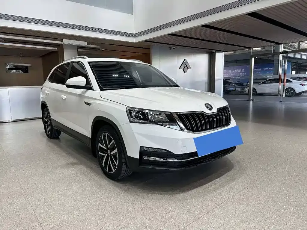Skoda Kamiq 2022 из CN, фото 5