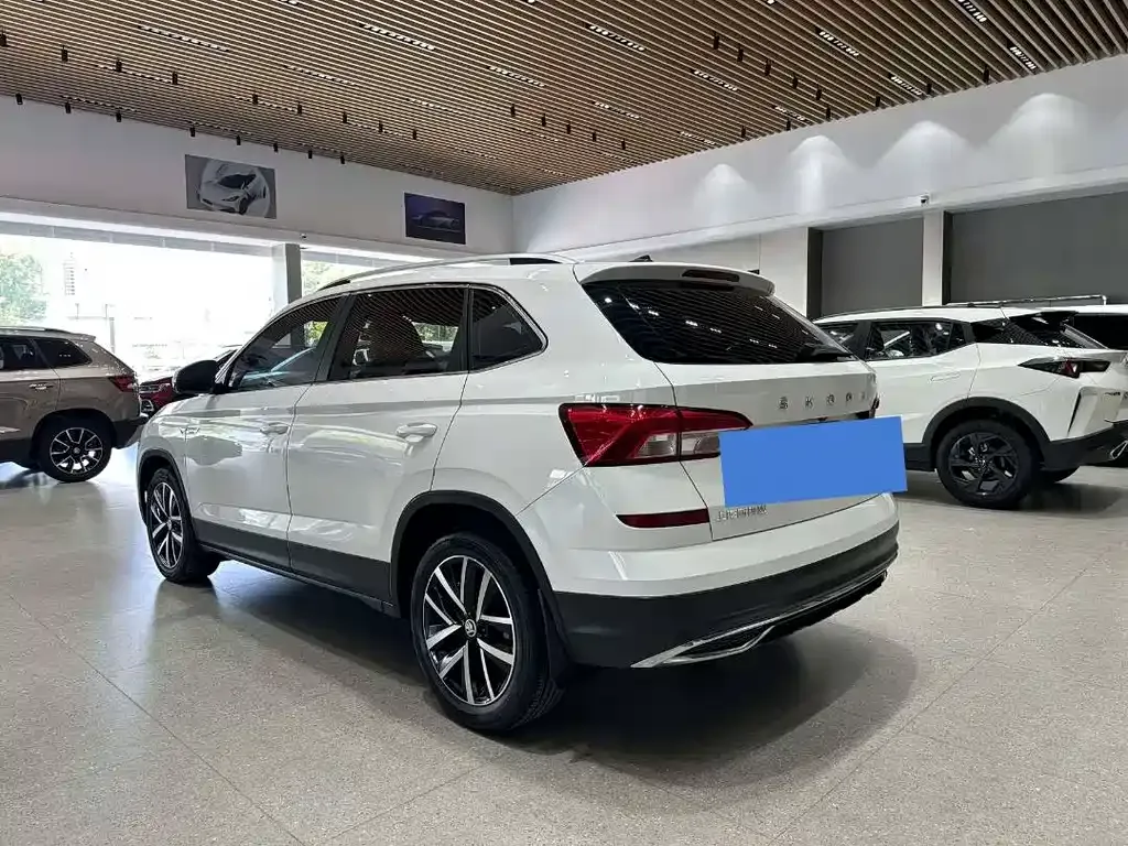 Skoda Kamiq 2022 из CN, фото 8