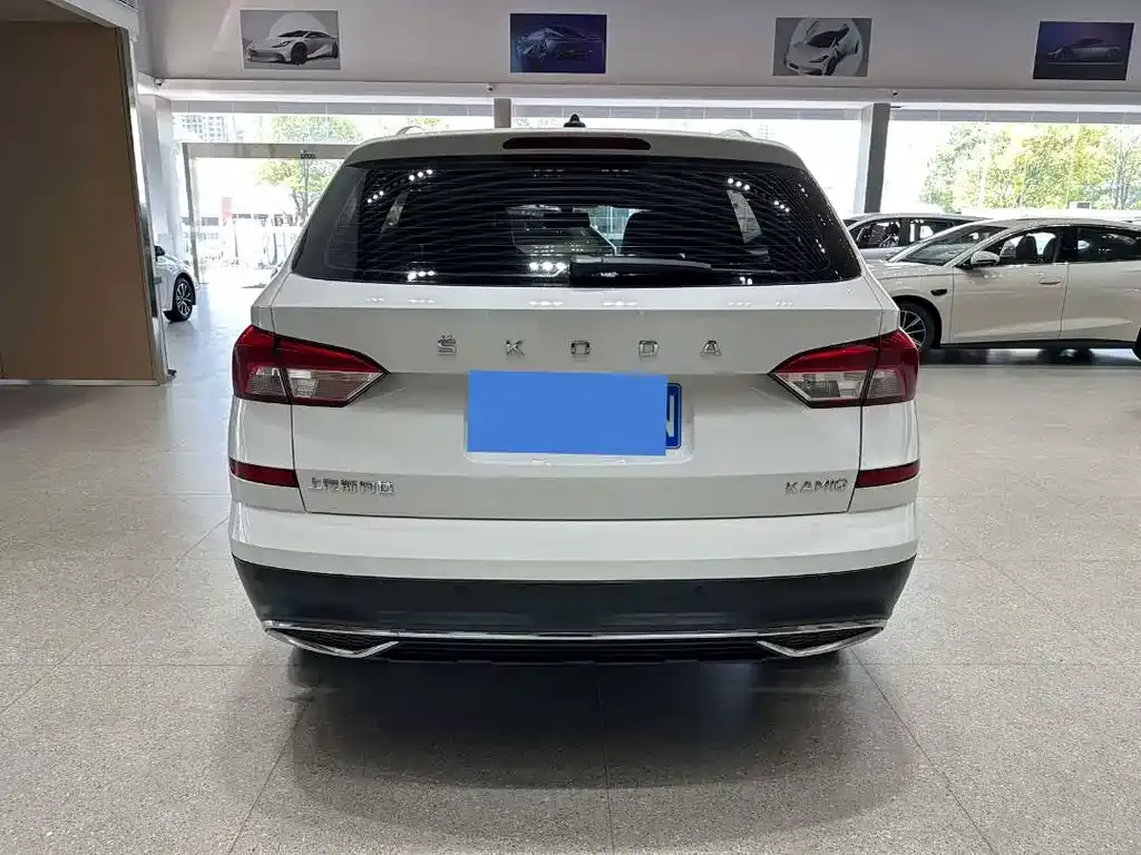 Skoda Kamiq 2022 из CN, фото 2