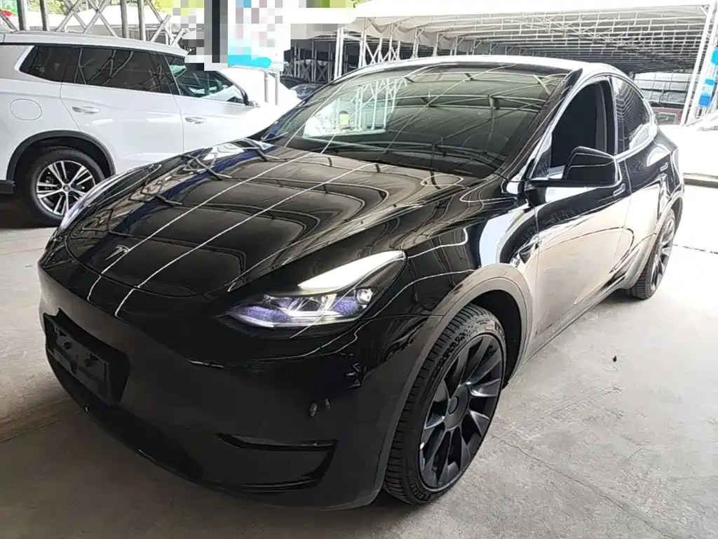 Tesla Model Y — фото 10