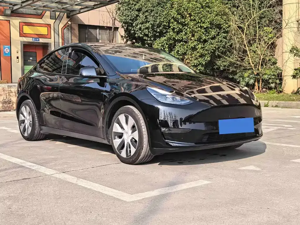 Tesla Model Y — фото 9